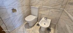 Ardmore Park (D10), Condominium #629283861